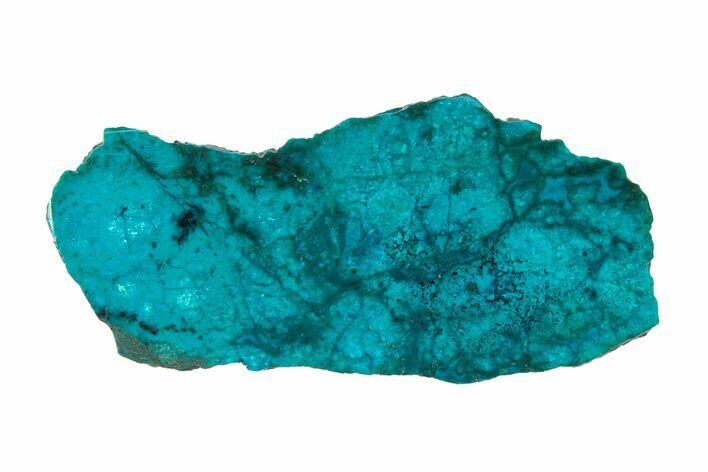 Vibrant Chrysocolla and Shattuckite Section - Mexico #281728